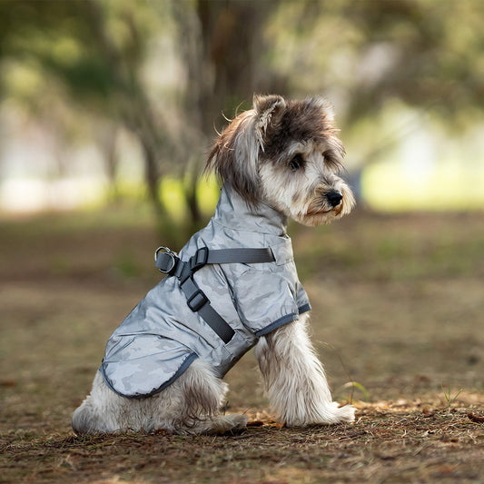 Chest And Back Raincoat Two Legs Waterproof Teddy Medium And Small Dog Raincoat Traction