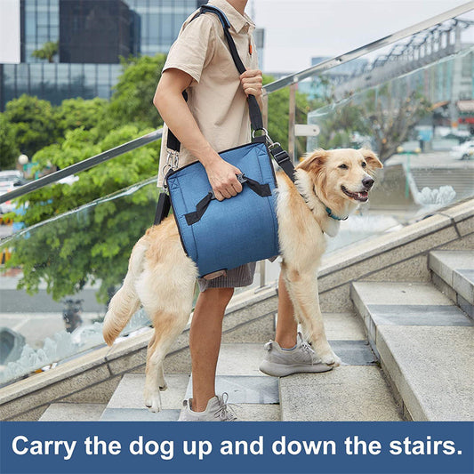 Pet Carrying Belly Support Sling