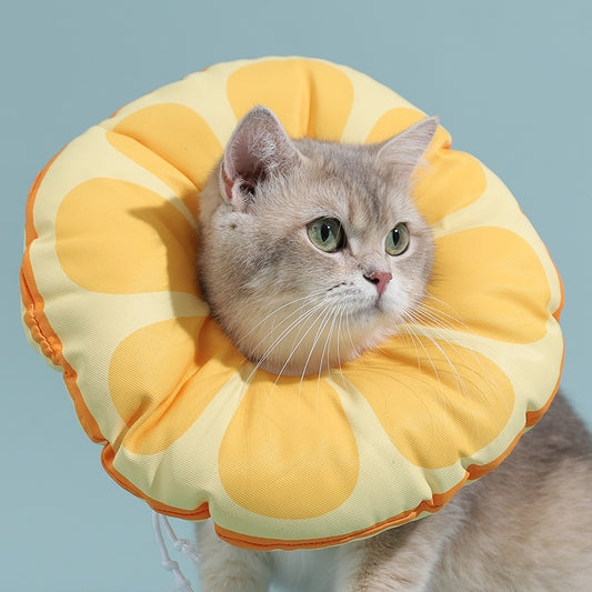 Ring Kitten Anti-licking Bite Shame Collar