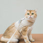 New Dog Harness And Leash Set Woven Fabric Cat And Puppy Vest Harness Leads To Small Medium-Sized Dogs Traction In Pet Clothes