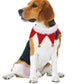 Cute Dog Cat Costume Christmas Cloak Halloween Disguise Cat