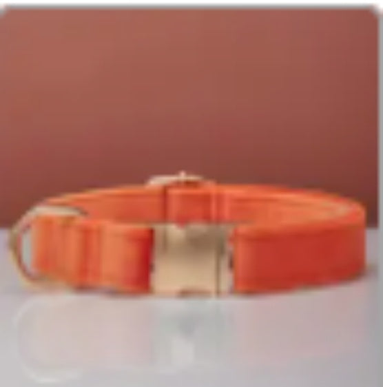 Multiple Colour Velvet Personalise Dog Collar Leash Set With Bow