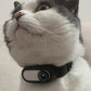 Pet Supplies Cat And Dog Collar Camera Indoor And Outdoor Wireless Recording