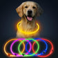 LED Dog Collar USB Rechargeable Glowing Pet Collars Lighted Up Safety Necklace Glow In The Dark For You Your Dogs