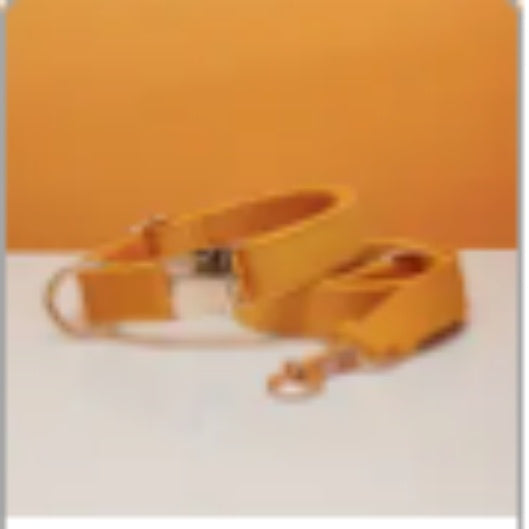 Multiple Colour Velvet Personalise Dog Collar Leash Set With Bow