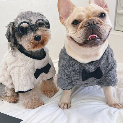 Hot Sale French Bow Tie Sweater Jarre Aero Bull Corgi Two Feet