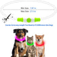 LED Dog Collar USB Rechargeable Glowing Pet Collars Lighted Up Safety Necklace Glow In The Dark For You Your Dogs