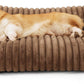 Bedsure Cute Cat Couch For Pets - Fluffy Cat Sofa With Premium Soft Corduroy Fleece Fuzzy Cat Couch Bed With Cover Supportive Cat Chair For Indoor Cats