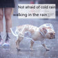 Pet Raincoat Dog Small Dog