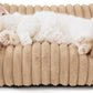 Bedsure Cute Cat Couch For Pets - Fluffy Cat Sofa With Premium Soft Corduroy Fleece Fuzzy Cat Couch Bed With Cover Supportive Cat Chair For Indoor Cats
