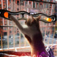 Windowsill Pets Toy Cat Track Ball Pet Products