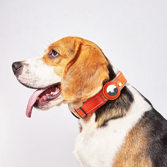 Original Airtag Case Leather Dog Cat Traction Collar For Airtags Location Tracker Pet Anti-lost Device Dog Accessories