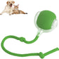 Rolling Ball Ball For Dogs Doggie Ball Interactive Dog Smart Ball Toy Interactive Cat Ball Toy 360  Smart Automatic Rolling Pet Ball