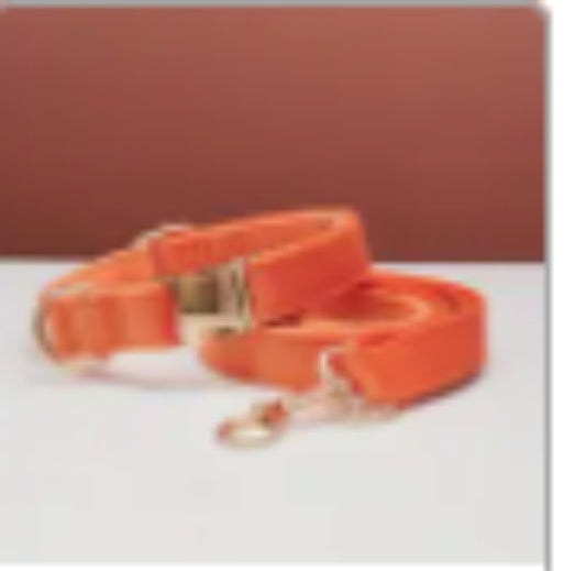 Multiple Colour Velvet Personalise Dog Collar Leash Set With Bow