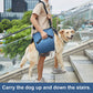 Pet Carrying Belly Support Sling