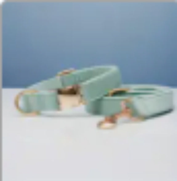 Multiple Colour Velvet Personalise Dog Collar Leash Set With Bow