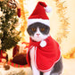 Pet Christmas Suit Cat Dog Cloak Hat