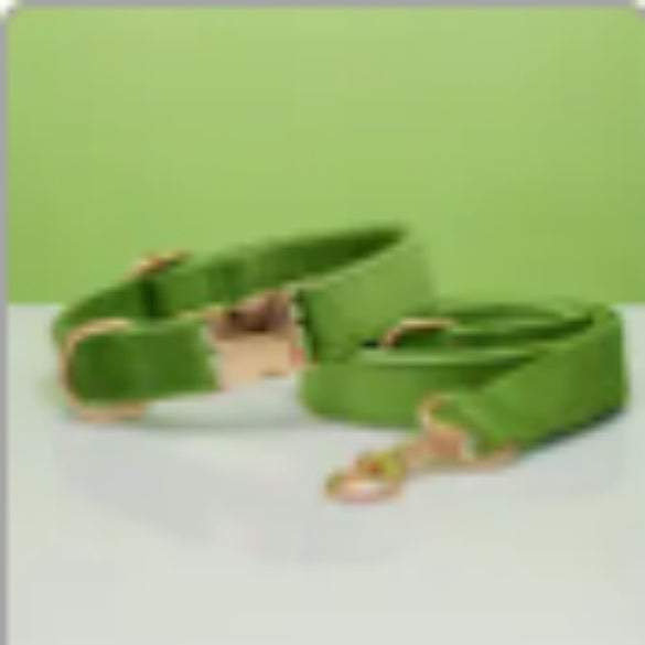 Multiple Colour Velvet Personalise Dog Collar Leash Set With Bow